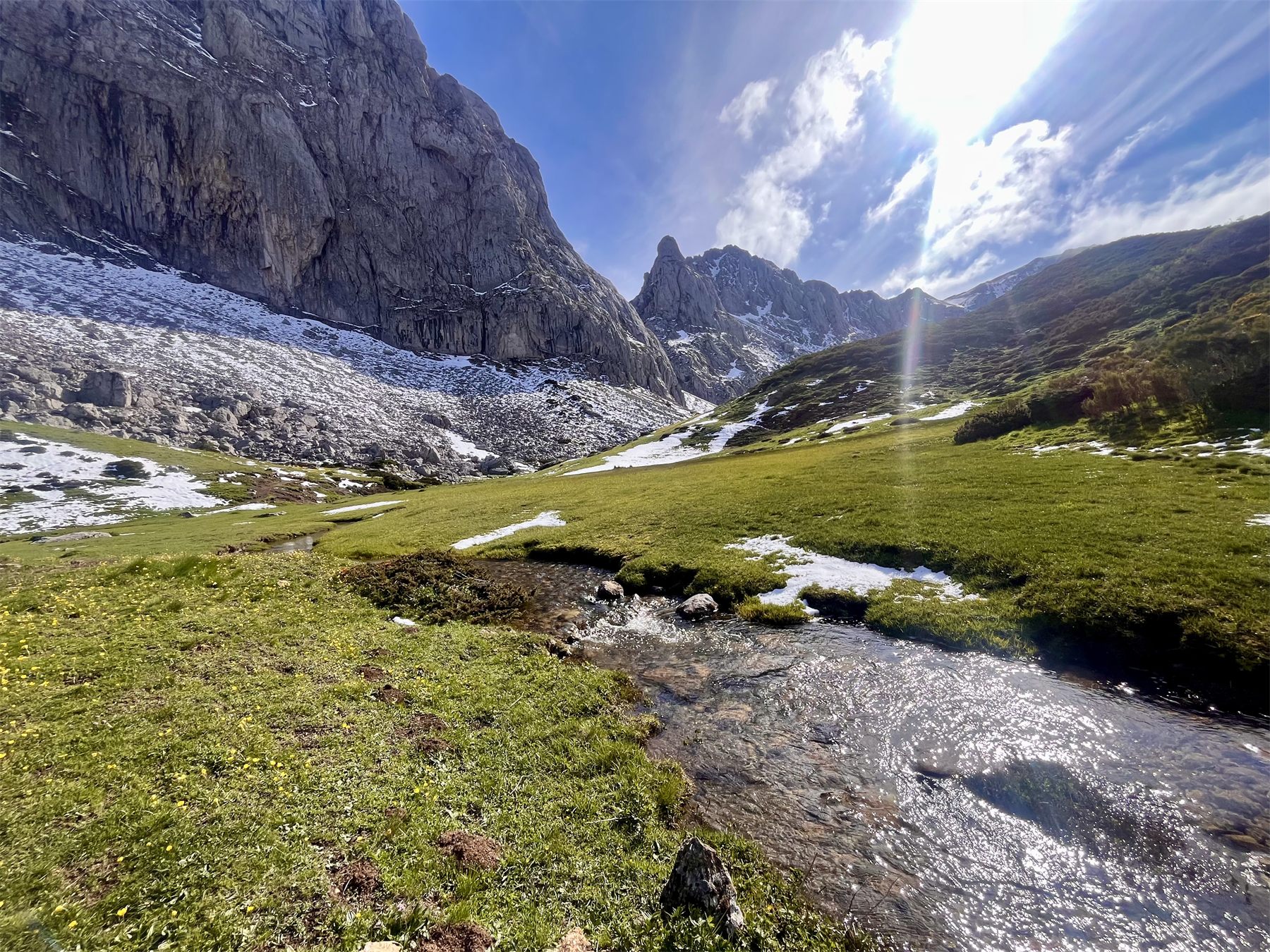 Extérieur — Arroyo de montana en pradera